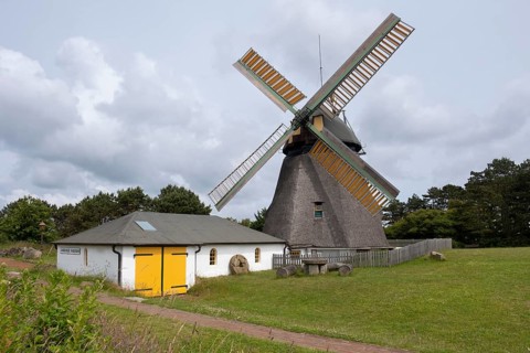 Amrum windmill with museum, fog, Amrum, North Sea island, North Frisia, Schleswig-Holstein,