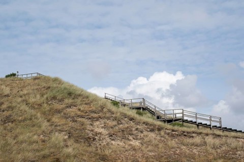 Ascent to the viewing dune, Amrum, North Sea island, North Frisia, Schleswig-Holstein, Germany,
