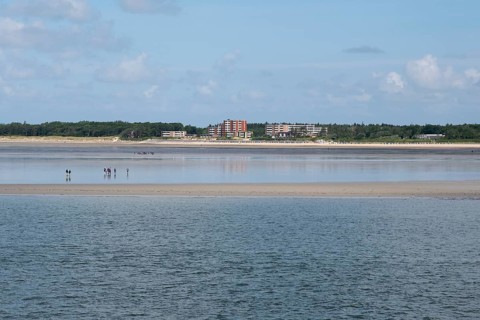 View of the coast of Wyk auf Föhr, mudflat hiker, North Sea coast, Föhr, North Sea island, North