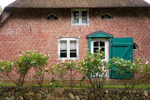 Roses in front of the façade of a typical Frisian house, Amrum, North Sea island, North Frisia,