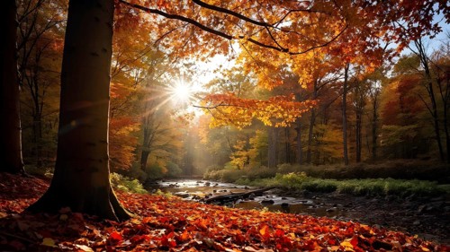 Autumn forest with leaves in varying shades of amber red and yellow in golden hour sunlight, AI
