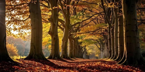 Autumn forest with leaves in varying shades of amber red and yellow in golden hour sunlight, AI