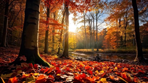 Autumn forest with leaves in varying shades of amber red and yellow in golden hour sunlight, AI