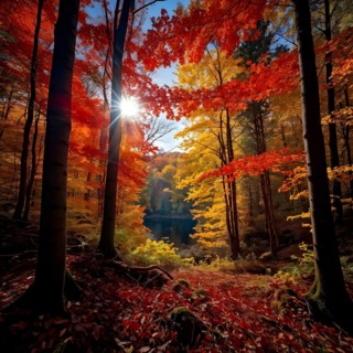 Autumn forest with leaves in varying shades of amber red and yellow in golden hour sunlight, AI