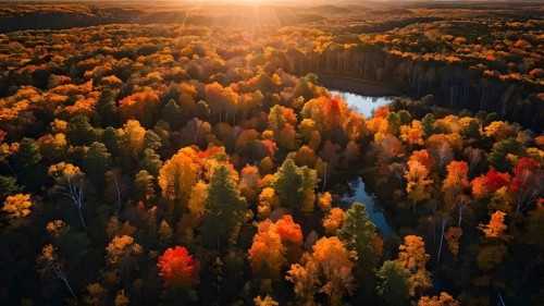 Aerial perspective of an autumn forest with leaves in varying shades of amber red and yellow, AI