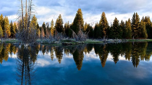 Grand Teton National Park. Wyoming, United States, North America