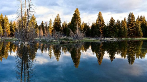 Grand Teton National Park. Wyoming, United States, North America