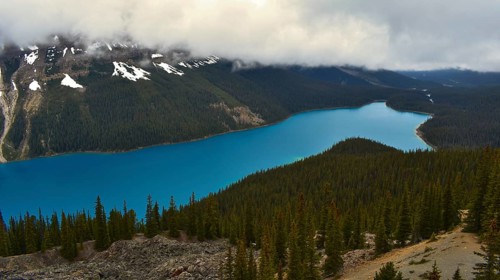 Peyto Lake Alberta, Canada, North America