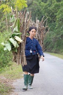 Vietnamese woman carrying firewood on a street, Ha Giang province, Vietnam, Asia