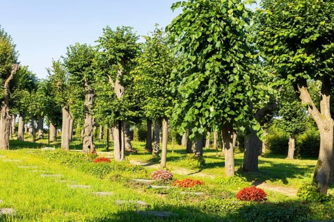 Herrnhut is a town in the Saxon district of Görlitz in Upper Lusatia. Centrally located between the