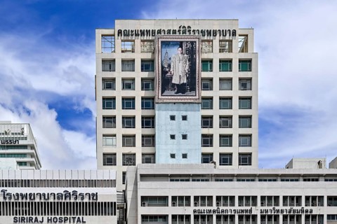 Siriraj Hospital Image of King Rama IX Bhumibol Adulyadej, Bangkok, Thailand, Asia