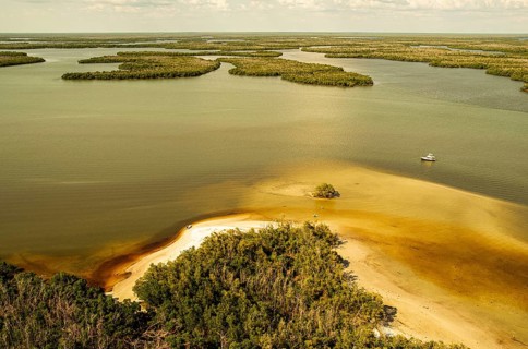 Boat in the Atlantic Ocean, Everglades, mangrove forests, Florida, USA, North America