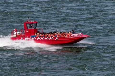 Jet boating, jet boat ride on the Saint Lawrence River, Summer, Montreal, Province of Quebec,