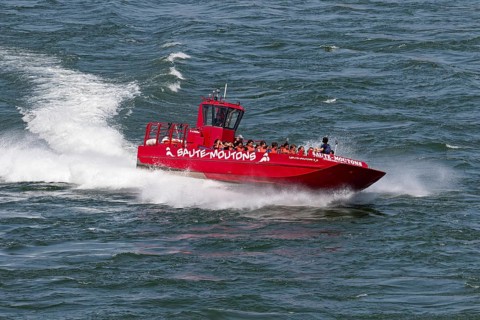 Jet boating, jet boat ride on the Saint Lawrence River, Summer, Montreal, Province of Quebec,