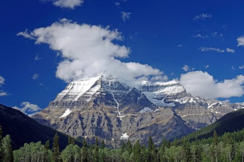 Snow-capped mountains under a clear blue sky with clouds and forest in the foreground, Mount Robson
