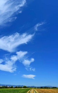 Cirrus or cirrus clouds in the blue sky over the mountains of the Bavarian Forest, Plattling, Lower