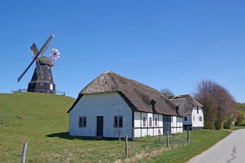 A house with a thatched roof and a windmill on a rural road under a blue sky, Manor Route,