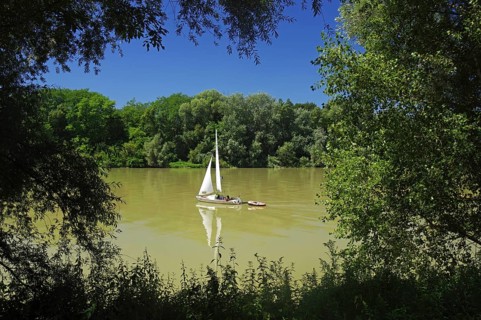A sailing boat on a calm river, surrounded by lush greenery in fine weather, Rhine, Breisach,