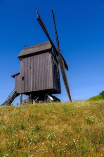 Windmill, Bockwindmühle Beelitz, Brandenburg, Germany, Europe