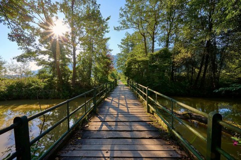 Hiking trail, cycle path, wooden bridge, sun, morning, summer, Tiebel estuary, Steindorf am Lake