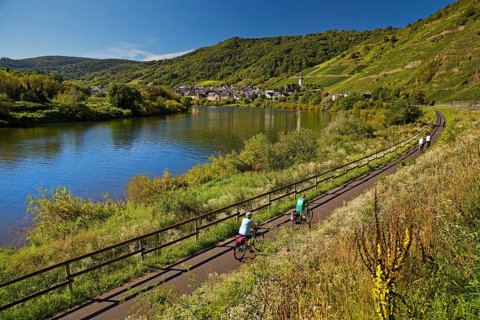 Cyclists on the Moselle cycle path with a view of the village of Bremm, Rhineland-Palatinate,