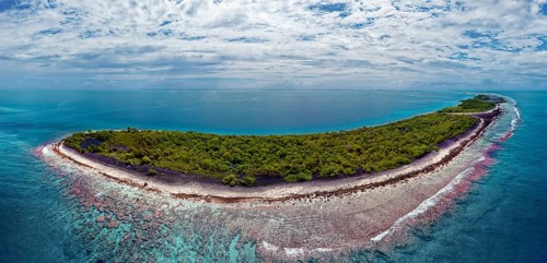 Aerial view of uninhabited island in Fakarava Atoll, typical island landscape, front outer reef,