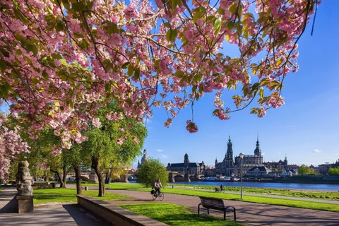 Spring on the Königsufer in Dresden