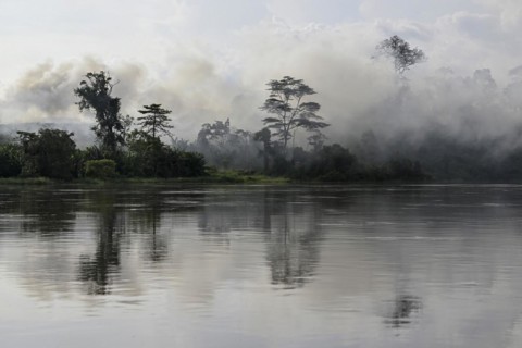 Fog over the rainforest along the Sangha River, Dzanga-Sangha Complex of Protected Areas (DSPAC),