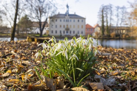 Palace gardens Lauterbach, Lauterbach, Saxony, Germany, Europe