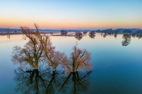 Aerial view, drone photo: Winter floods, trees and flooded meadows in the floodplains along the