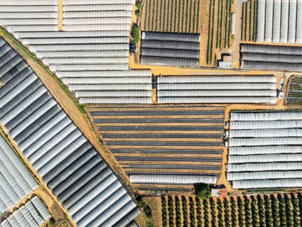 Plastic greenhouses with strawberry cultivations and other cultivated fields near the town of Lepe.
