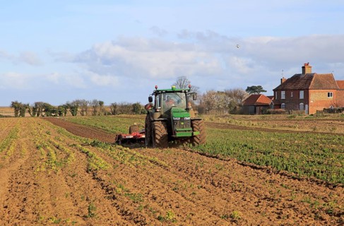 Tractor working in vegetable field in springtime, Bawdsey, Suffolk, England, UK