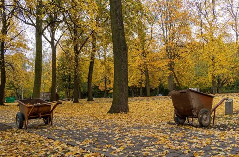 Autumn time, Volkspark Rehberge, war graves, memorial site, Berlin, Germany, Europe