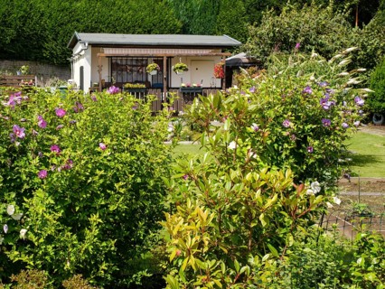 Blooming flowers in front of garden arbour in allotment garden, allotment garden, Dortmund, North