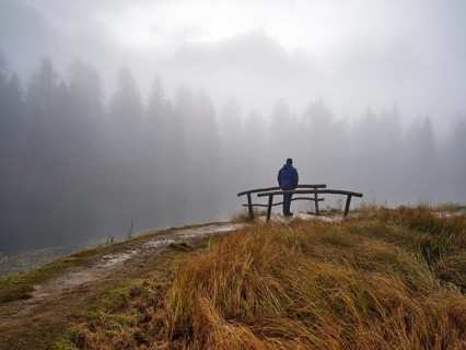 Man looking at Lago d'Antorno, trees in the fog, Three Peaks nature park Park, Dolomites, South