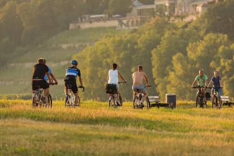 Cyclists on the Elbe cycle path in the evening light in front of Albrechtsberg Castle