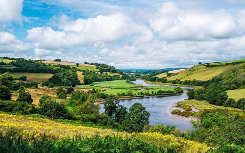 Sharpham Meadows and Marsh over River Dart from a drone, Totnes, Devon, England, United Kingdom,