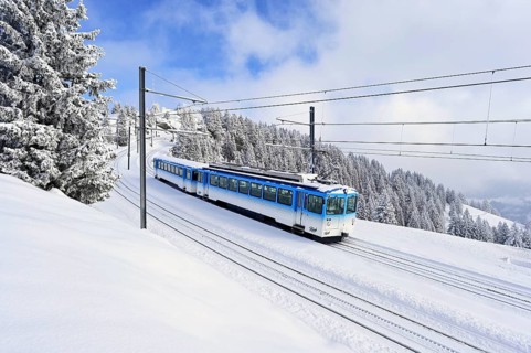 Cogwheel railway travelling through snow-covered forest, Rigi Kulm, Canton Schwyz, Switzerland,