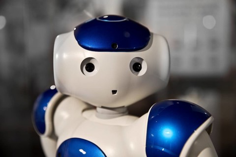 Head of the humanoid robot Nao, which is intended to help pre-school children learn a second