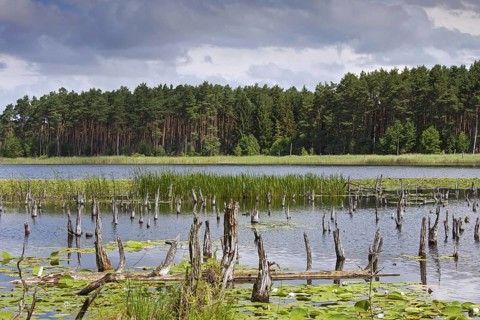 Mühlensee, Lake Muehlen near Kargow in the Mueritz National Park, Müritz-Nationalpark in summer,