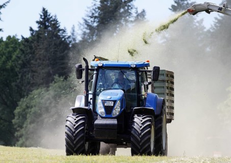 Forage harvesting on an organic farm A forage harvester transports the chopped forage grass into a