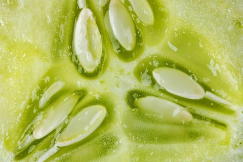 Macro photo of a cut open cucumber (Cucumis sativus)