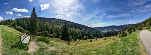 Resting place with bench and view over the landscape of the Black Forest with coniferous forests