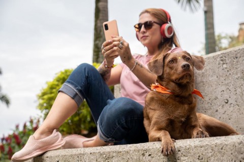 Close-up of an adorable dog attentively gazing at the horizon while sitting next to its owner, who