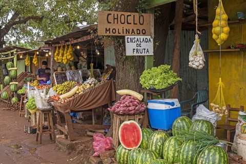 Roadside stalls selling fruit and vegetables on the outskirts of Ciudad del Este, Alto Parana,