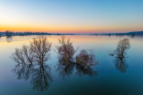 Aerial view, drone photo: Winter floods, trees and flooded meadows in the floodplains along the