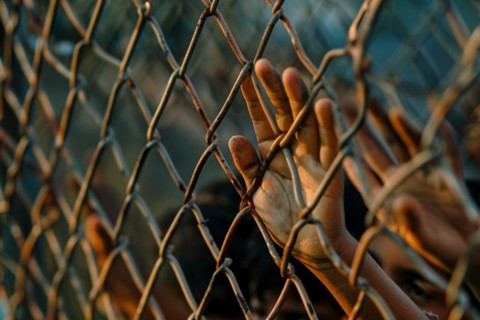 Hands of desperate immigrant on chain link fence. KI generiert, generiert, AI generated