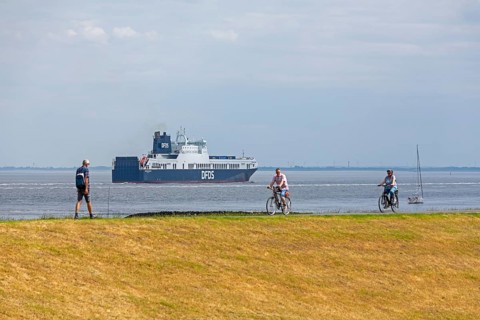 People, cyclist, ship, ferry, Elbe cycle path, Elbe, Cuxhaven, Lower Saxony, Germany, Europe