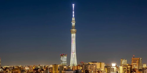Tokyo SkyTree tower with the skyline skyscrapers panorama at night in Tokyo, Japan, Asia