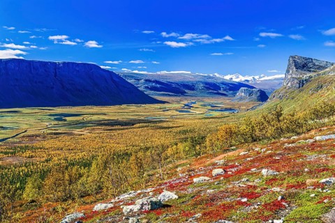 Scenic view at Rapa valley in Sarek national park in beautiful autumn colors at the north of